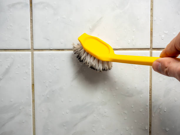Reliable Englewood, TN Mold Removal Solutions