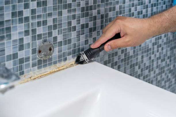 Mold Testing and Removal in Englewood, TN